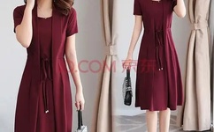 无盐女是什么意思